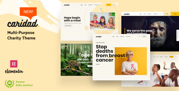 Caridad - Charity WordPress