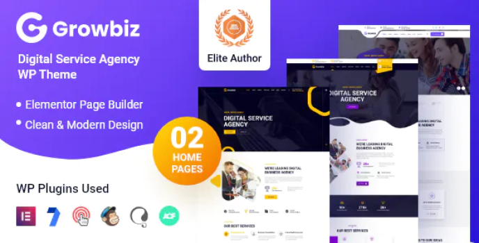 Growbiz – Digital Services Agency WordPress Theme
