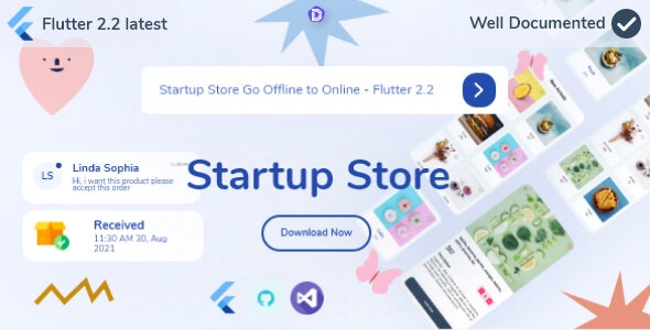 Startup Store Go Offline to Online - Flutter 2.2