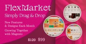 FlexMarket – Multipurpose Responsive Magento 2 Theme