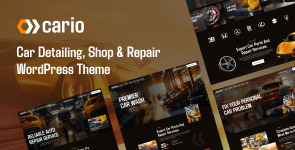 Cario – Car Detailing, Shop  Repair WooCommerce Theme